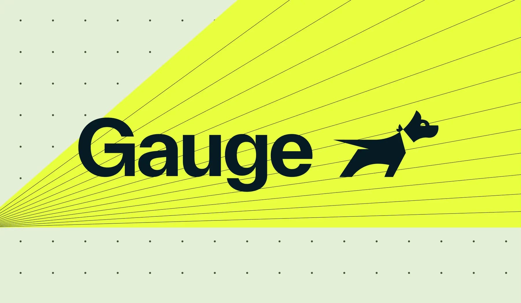 What is Gauge?